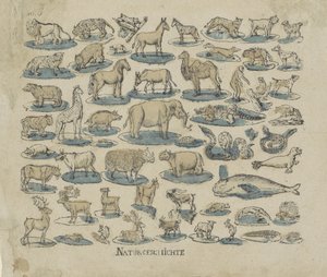 Animaux - Anonymous