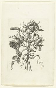 Trois fleurs, dont une jonquille et un œillet - Anonymous