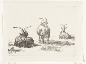 Trois chèvres - Anonymous
