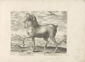 Cheval allemand