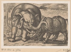 Un rhinocéros combattant un éléphant - Anonymous
