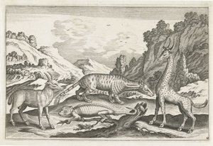 Animaux exotiques - Anonymous