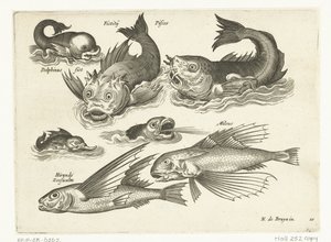 Animaux aquatiques fantastiques, y compris dauphin et poisson-pieuvre