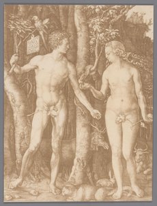 Reproduction photographique de la gravure Adam et Ève par Albrecht Dürer - Anonymous