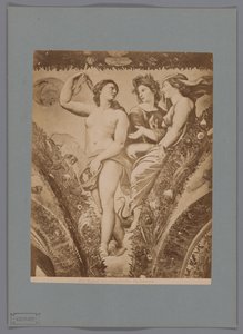 Reproduction photographique de la fresque Amour et Psyché dans la Loggia di Psiche, Villa Farnesina à Rome - Anonymous