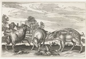 Chèvre et cochons