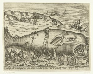 Baleine échouée près de Berckhey, 1598 - Anonymous