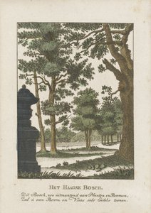 Haagse Bos - Anonymous