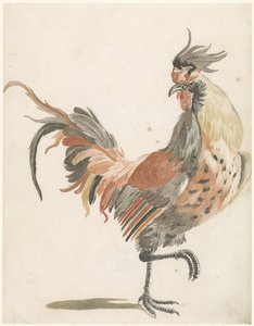 Coq marchant vers la droite (version B) - Anonymous
