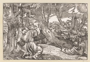 Saint François reçoit les stigmates - Anonymous