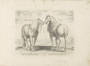 Étalon et jument de Rome