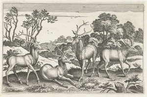 Cerfs