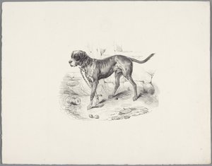 Chien enchaîné - Anonymous