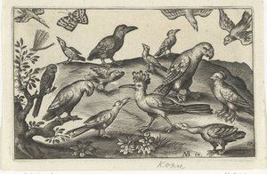Houblon et autres oiseaux Oiseaux et insectes (titre de la série) - Anonymous