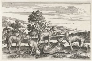 Chiens de chasse - Anonymous