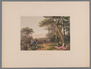 Chercheurs de champignons