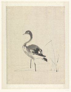 Jeune grue - Anonymous