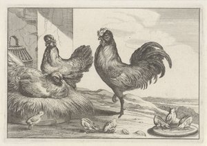 Poulet, coqs et poussins - Anonymous