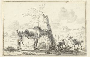 Vache et deux chèvres près d
