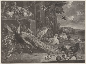 Paysage avec oiseaux - Anonymous