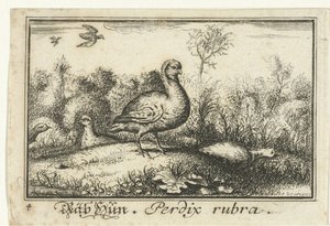 Paysage avec perdrix