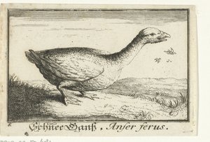Paysage avec oie sauvage - Anonymous