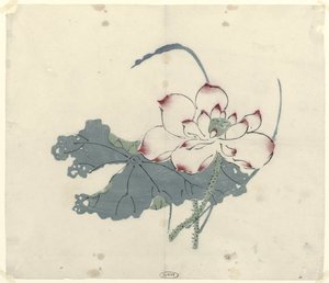 Lotus