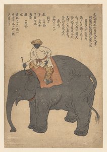 Éléphant apporté par un navire néerlandais en 1813 - Anonymous