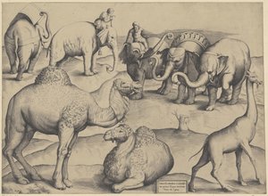 Éléphants, dromadaires et une girafe - Anonymous