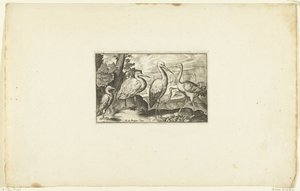 Cigogne entre deux autres oiseaux - Anonymous