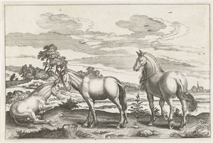 Cheval et ânes