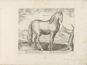 Cheval de Bretagne - Anonymous