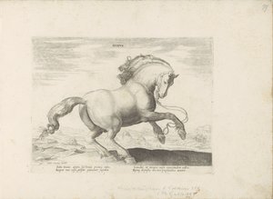 Cheval du Danemark