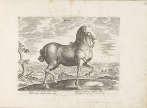 Cheval d