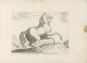 Cheval de France (Races de chevaux des écuries royales de Don Juan d