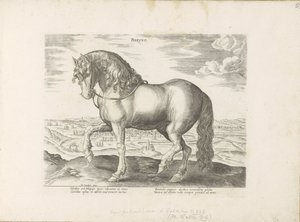 Cheval de Frise