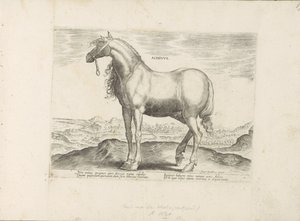 Cheval de Grèce