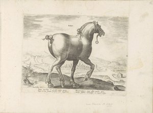 Cheval de Saxe (Paardenrassen uit de Koninklijke stallen van Don Juan van Oostenrijk)