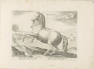 Cheval d