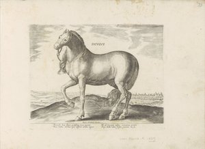 Cheval de Sicile