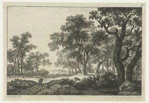 Sentier à travers la forêt