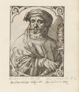 Portrait de Muleamethes Scyriffi
