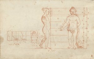 Étude de proportions d