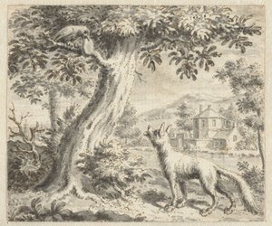 Le corbeau et le renard 
Dessins pour des illustrations d