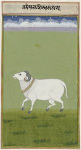 Bélier avec un collier doré et des extrémités décorées de ses cornes - Anonymous