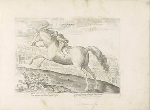 Cheval de course avec cavalier