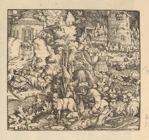 Tondre, traire et abattre des moutons