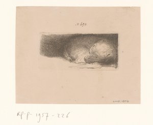 Chiot endormi - Anonymous