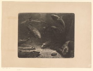 Brochet, raie, plie, crabe, anguille et autres poissons - Anonymous