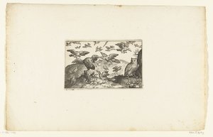 Chouette debout et chouette attaquée par des oiseaux - Anonymous